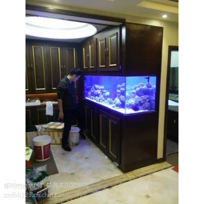 如何挑選合適的魚缸尺寸：養(yǎng)魚新手入門指南