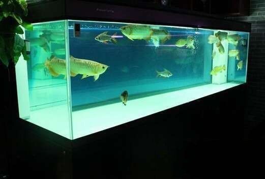 購買成品魚缸需要注意哪些方面：購買成品魚缸時需要注意以下幾個方面以下幾個方面