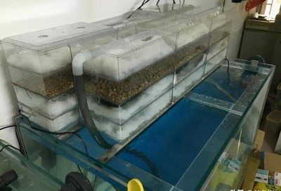 如何調(diào)節(jié)魚(yú)缸內(nèi)的氧氣含量：調(diào)節(jié)魚(yú)缸內(nèi)氧氣含量是維持水中生態(tài)平衡的關(guān)鍵以下是一些有效方法