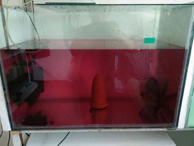 魚缸水渾濁怎么變清高錳酸鉀（魚缸水渾濁怎么變清）