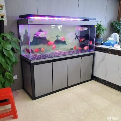 新魚缸開缸流程，養魚，&nbsp;新魚缸開缸流程：剛買來的魚缸在使用高錳酸鉀溶液、紫外線燈照射的處理步驟