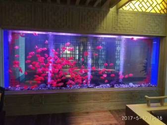 新魚缸開缸流程，養魚，&nbsp;新魚缸開缸流程：剛買來的魚缸在使用高錳酸鉀溶液、紫外線燈照射的處理步驟