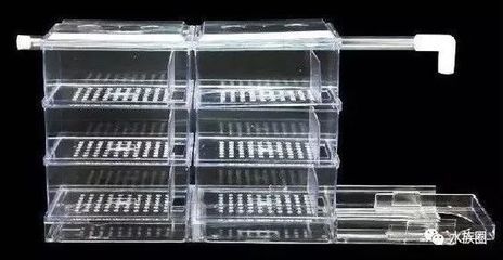 魚缸過濾材料能否直接放在魚缸里而生化過濾材料的選擇：魚缸過濾材料如何選擇