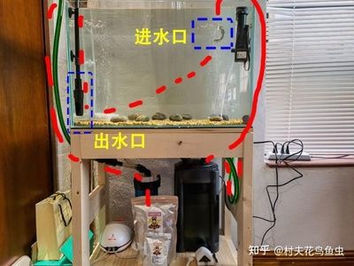 魚缸過濾材料能否直接放在魚缸里而生化過濾材料的選擇：魚缸過濾材料如何選擇