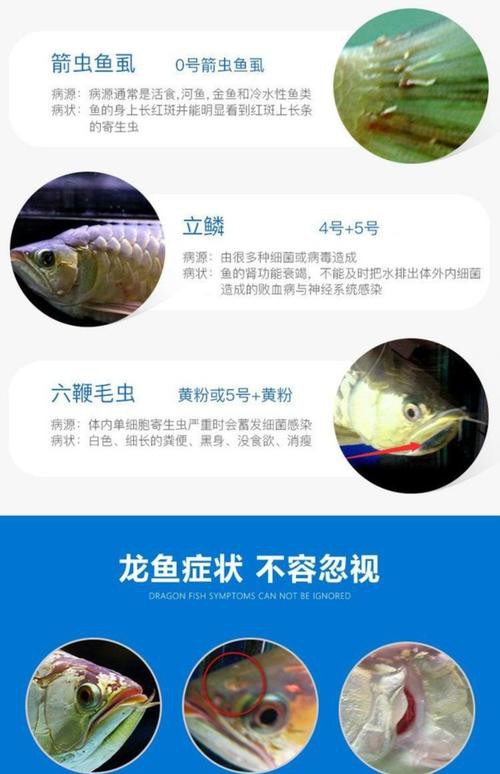 哪些除蟲藥對(duì)龍魚安全？