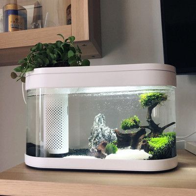 魚缸自動喂食器的選購指南：封閉式魚缸如何安裝喂食器