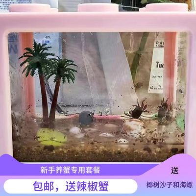 桌面魚缸圖片，桌面魚缸diy教程