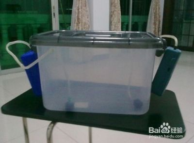 魚缸增氧泵一天開多長時間合適（魚缸增氧泵一天開多長時間合適魚缸增氧泵的使用時間）