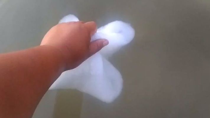 新沂市新傳世水族科技有限公司（新沂市新傳世水族科技有限公司招聘）