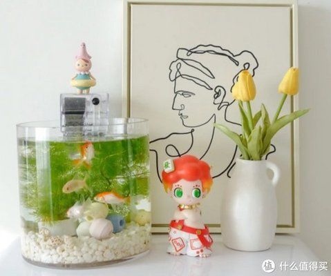 魚都扎堆在魚缸的一角里：魚缸一角扎堆可能由多種因素引起，魚缸氧氣不足的解決方案