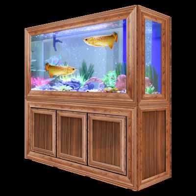 歐寶龍魚缸怎么樣：歐寶龍魚缸怎么樣？