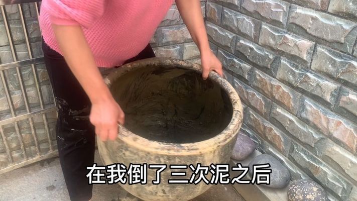 魚缸有不用換水的嗎圖片視頻（生態魚缸制作教程硝化細菌培養技巧）