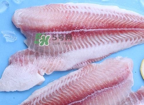 龍魚算不算海鮮：如何辨別龍魚的健康狀態(tài)？