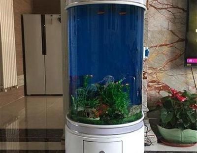 桌面魚缸擺放位置風(fēng)水圖解（桌面魚缸擺放位置風(fēng)水圖）