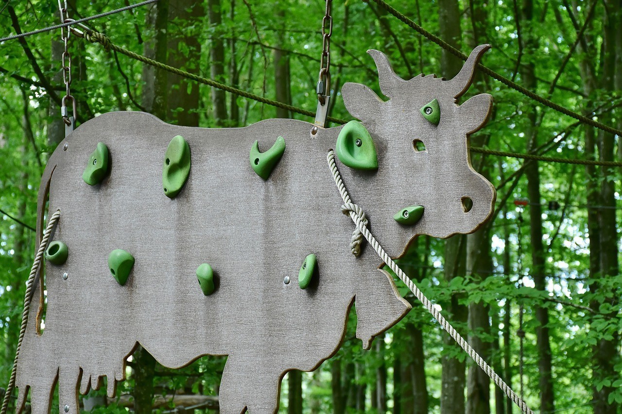 藍色龍魚的價格表，藍色龍魚價格表