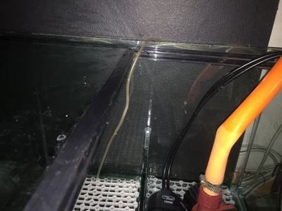 底濾魚缸怎樣放水？：如何選擇合適的魚缸底濾 底濾魚缸怎樣放水？：如何選擇合適的魚缸底濾 魚缸百科 第3張