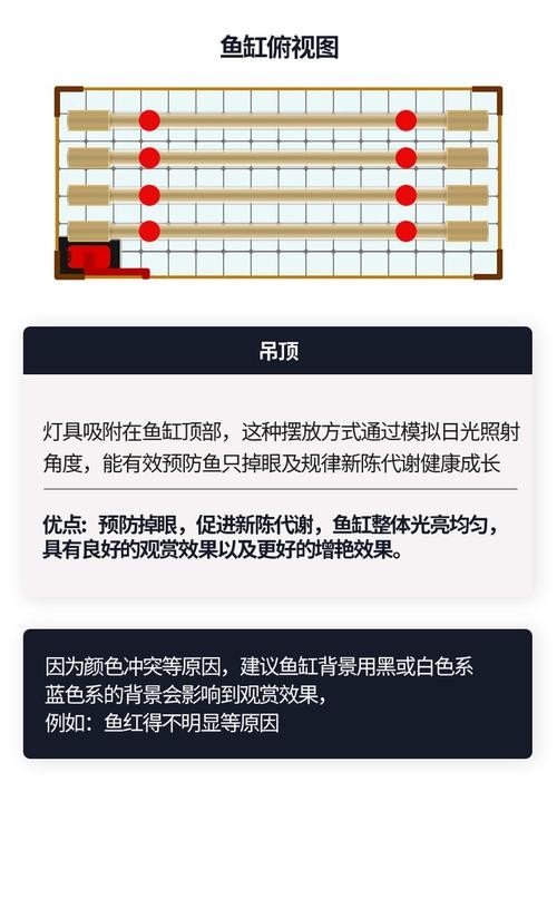 馬印龍魚燈的價格是多少？