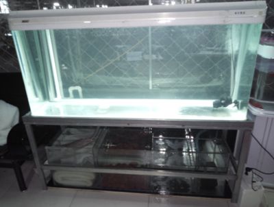 底濾魚缸的溢流工作和維護：底濾魚缸的溢流與維護