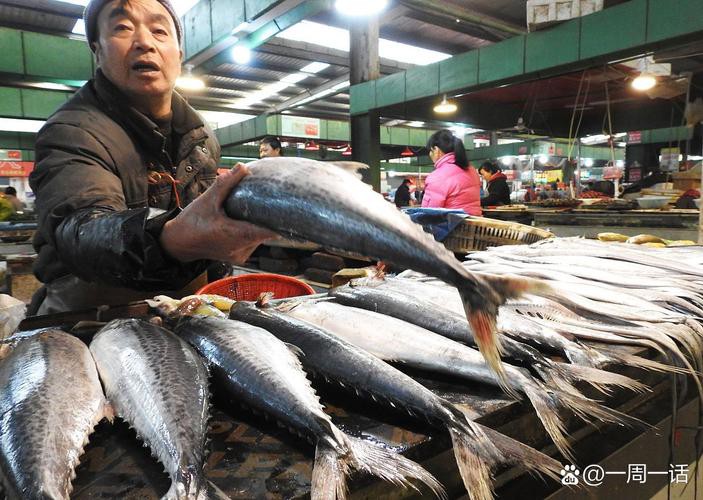 武漢龍魚批發市場在哪個位置呀圖片