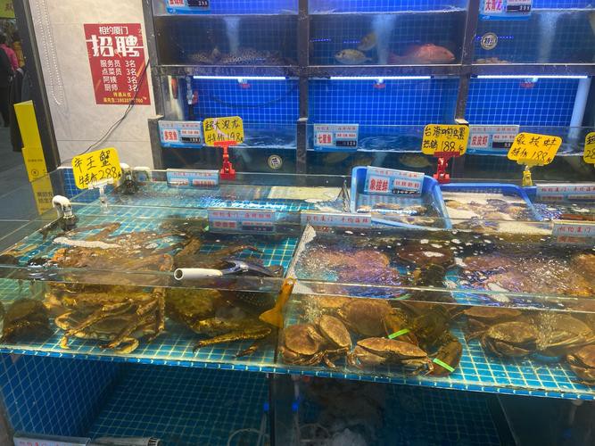 武漢龍魚批發市場在哪個位置呀圖片