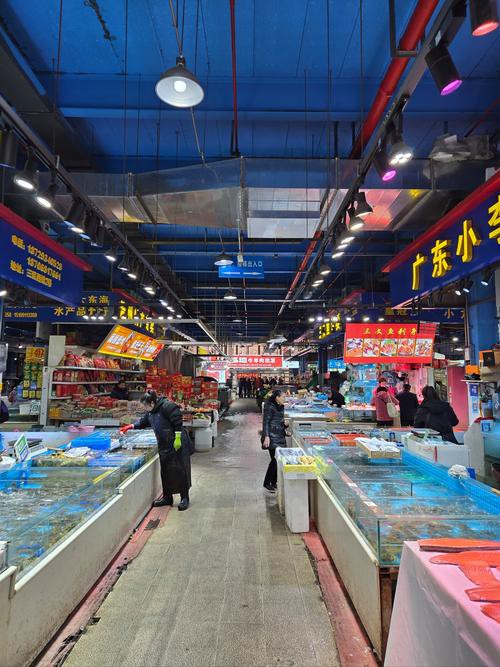武漢龍魚批發市場在哪個位置呀圖片