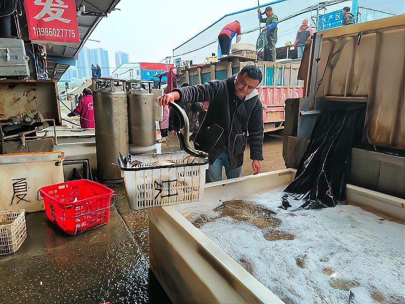 武漢龍魚批發市場在哪個位置呀圖片