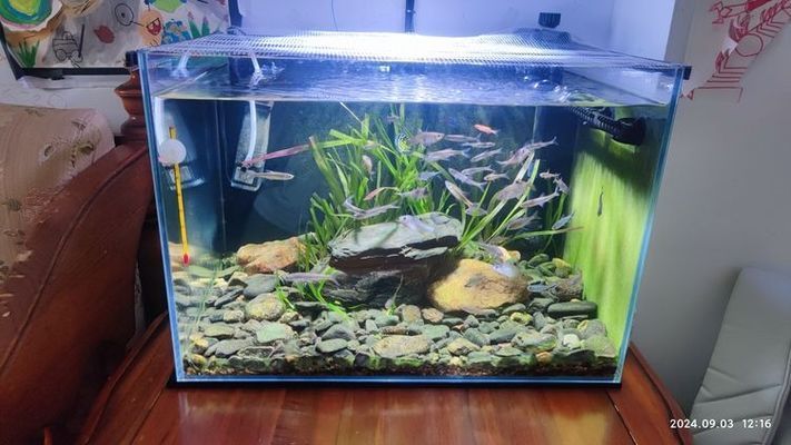 松寶魚缸燈怎么樣：松寶魚缸燈與其他品牌對比