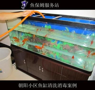 魚缸消毒的幾種方法：剛買的魚缸可以用鹽水、高錳酸鉀或其他消毒劑進(jìn)行消毒 魚缸消毒的幾種方法：剛買的魚缸可以用鹽水、高錳酸鉀或其他消毒劑進(jìn)行消毒 魚缸百科 第3張