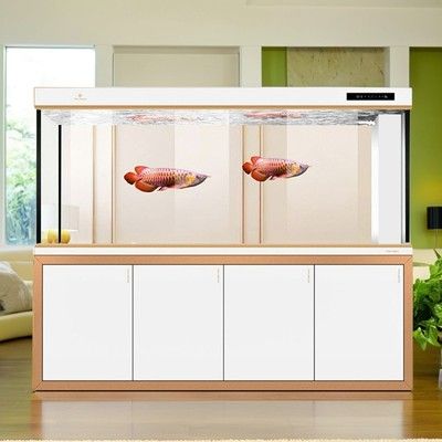 可麗愛(ài)魚缸是超白玻璃嗎為什么：為什么可麗愛(ài)魚缸選擇使用鋼化玻璃而非超白玻璃