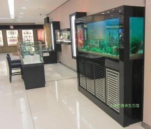 黑色的魚缸顏色在風(fēng)水中代表財富和財富的象征意義：風(fēng)水魚的種類與寓意