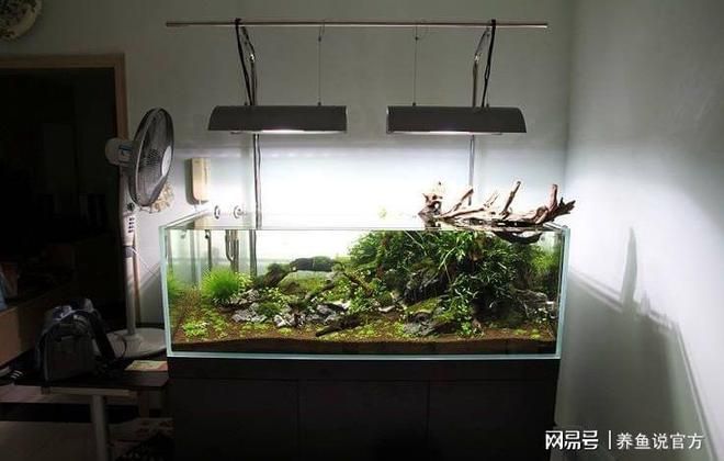 閩江魚缸組裝視頻：詳情閩江魚缸組裝教程