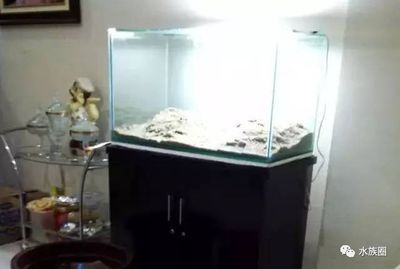 閩江魚缸組裝視頻：詳情閩江魚缸組裝教程