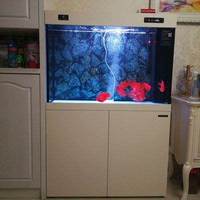 可麗愛魚缸算什么檔次（可麗愛魚缸屬于什么檔次）