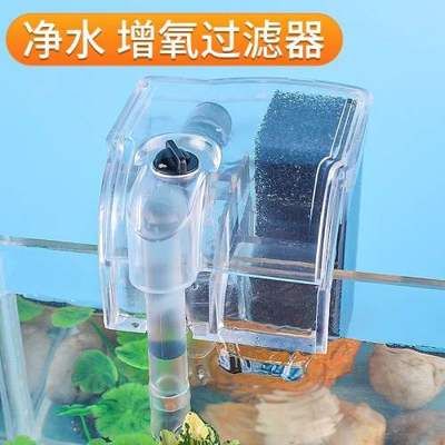 魚缸過濾器怎樣安裝才能增氧（如何正確安裝魚缸增氧過濾器）