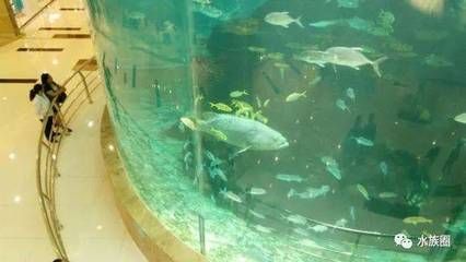 貴陽鴻通城魚缸：貴陽鴻通城購物中心
