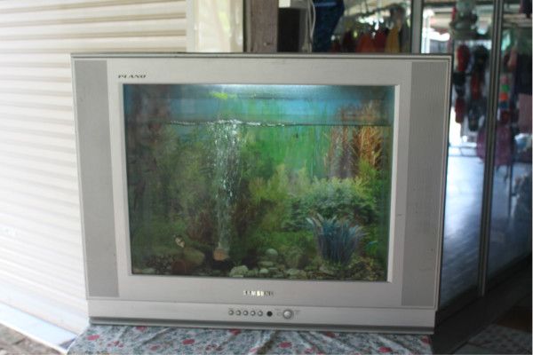 電視機(jī)改魚(yú)缸的兩種不同的改造方法探索魚(yú)缸環(huán)保改造之路：廢舊電視機(jī)改造成魚(yú)缸的方式