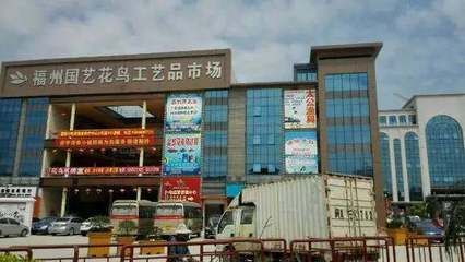 福州水族批发市场：福州水族市场最新动态，福州观赏鱼品种介绍