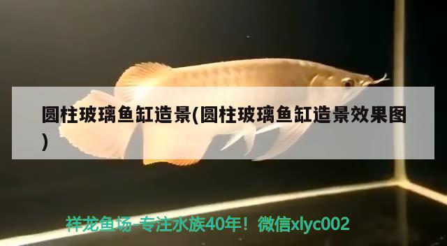 遵義余慶縣晨馳水族小寵物館