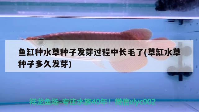 遵義余慶縣晨馳水族小寵物館