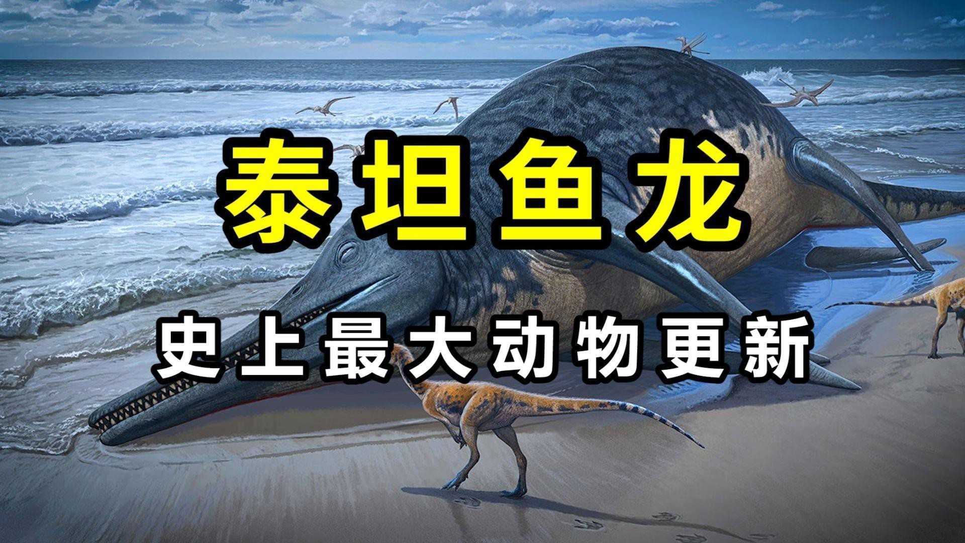 泰曼魚龍中的哪個物種最大？