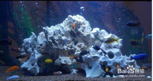 魚缸水泵更換步驟：如何更換魚缸水泵，魚缸水泵選型指南