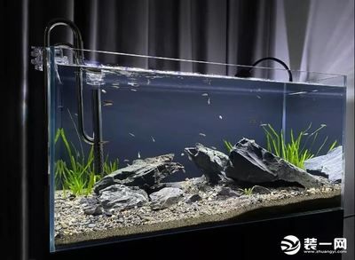 魚缸的擺放位置示意圖怎么畫（魚缸擺放位置示意圖怎么畫魚缸擺放位置示意圖）