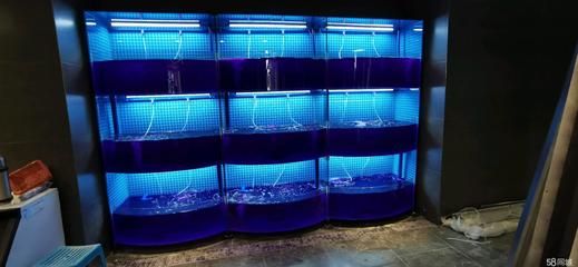 飯店魚缸的制作涉及到多個步驟和技術是根據搜索結果整理的：飯店魚缸制作方法