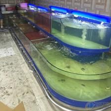 飯店魚缸的制作涉及到多個步驟和技術是根據搜索結果整理的：飯店魚缸制作方法