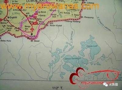 龍魚原生環境：龍魚原生環境是一個充滿生機的熱帶、亞熱帶湖泊或溪流生態系統
