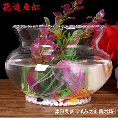 花邊魚缸批發(fā)廠家可以作為水培植物水培植物養(yǎng)護(hù)秘籍：如何找到花邊魚缸批發(fā)廠家