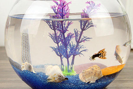 泰興市水族鮮飯莊（泰興市水族鮮飯莊電話號(hào)碼）