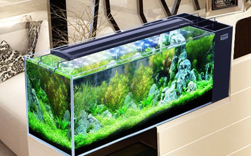 魚缸設(shè)計的藝術(shù)與科學(xué)探索魚缸設(shè)計的藝術(shù)性和科學(xué)選擇：水族箱品牌排行榜