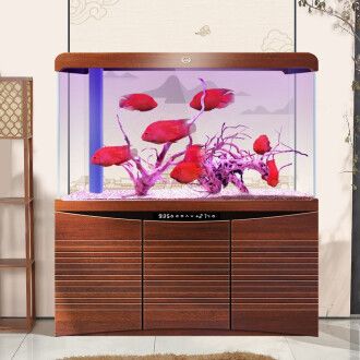 魚缸設(shè)計的藝術(shù)與科學(xué)探索魚缸設(shè)計的藝術(shù)性和科學(xué)選擇：水族箱品牌排行榜