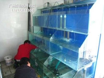 海鮮魚缸制作方面有較高知名度和好評的廠家：請注意：海鮮魚缸制作廠家
